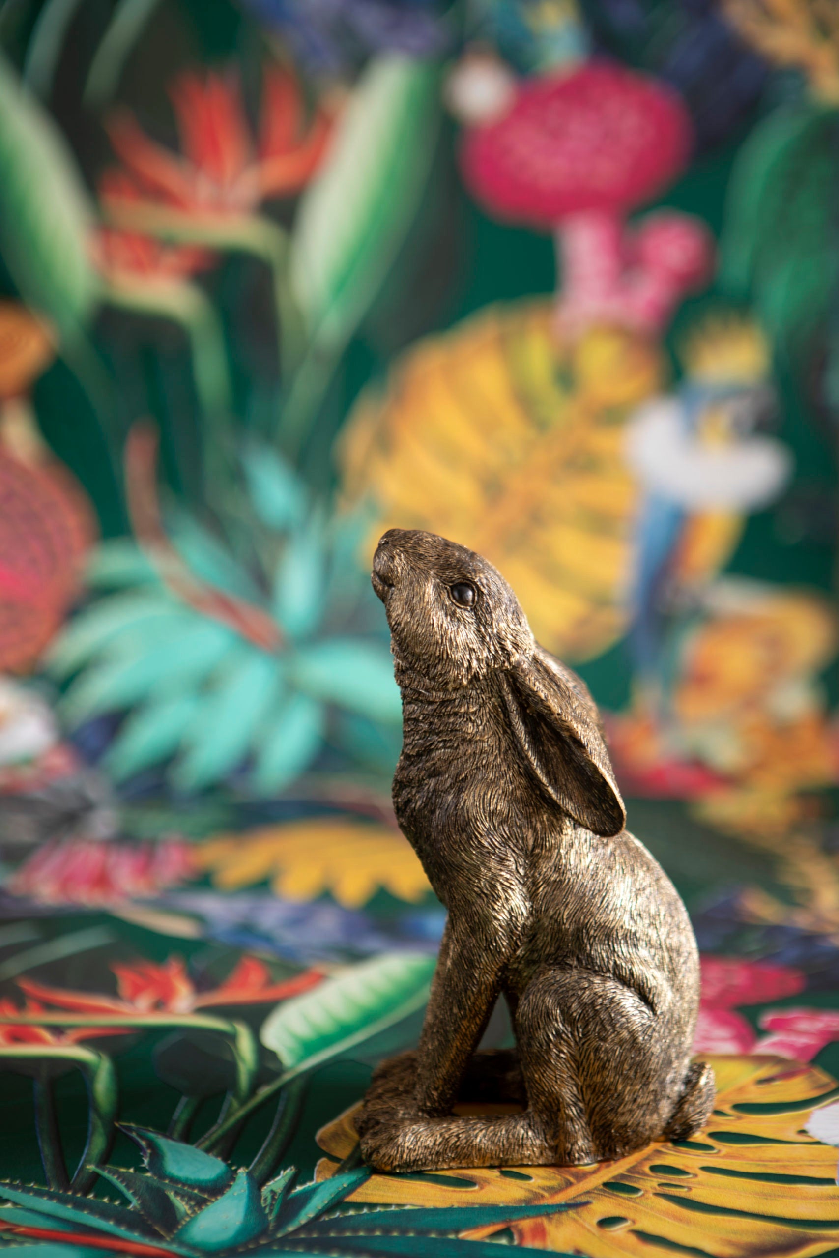 Moon Gazing Hare