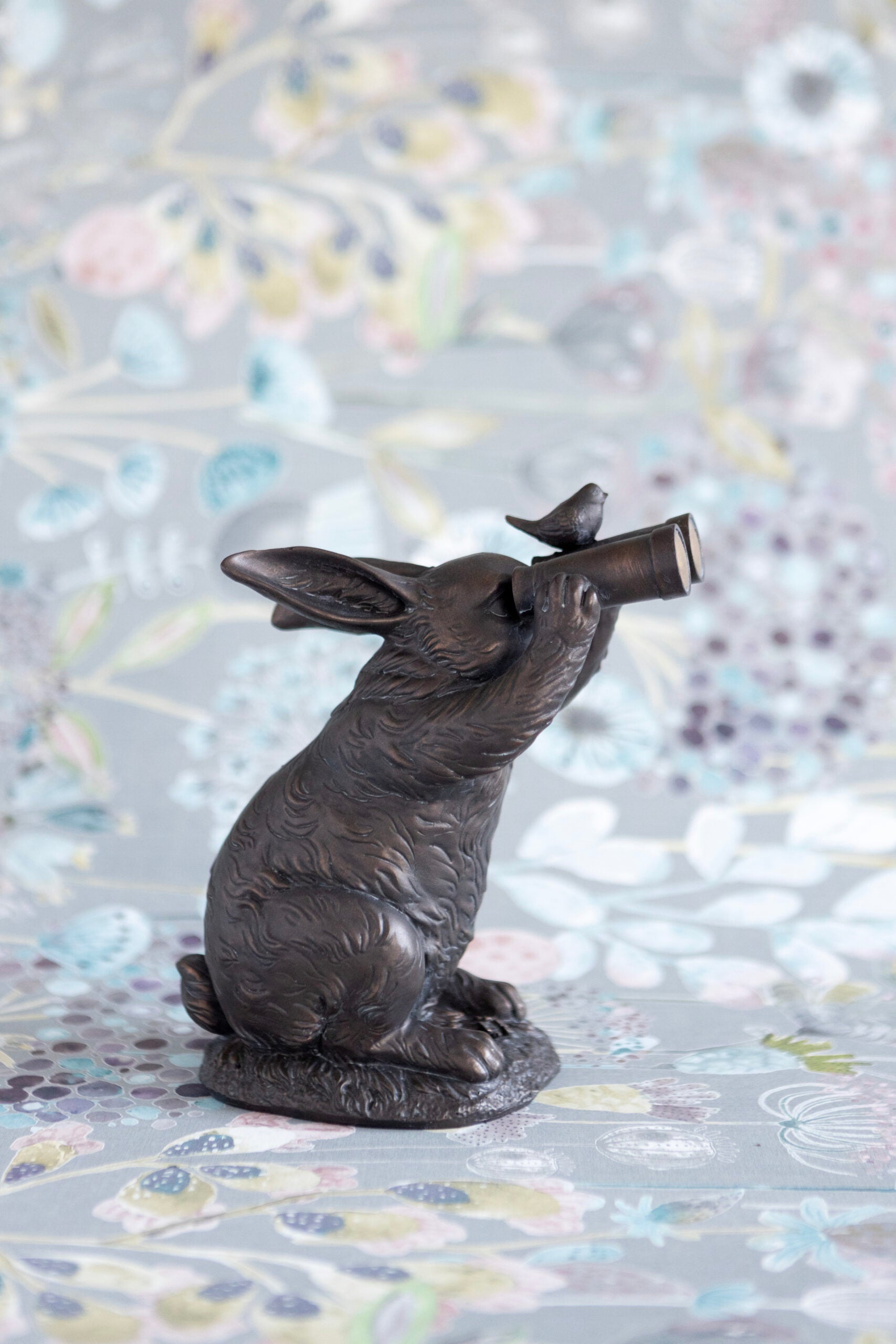 Binocular Bunny