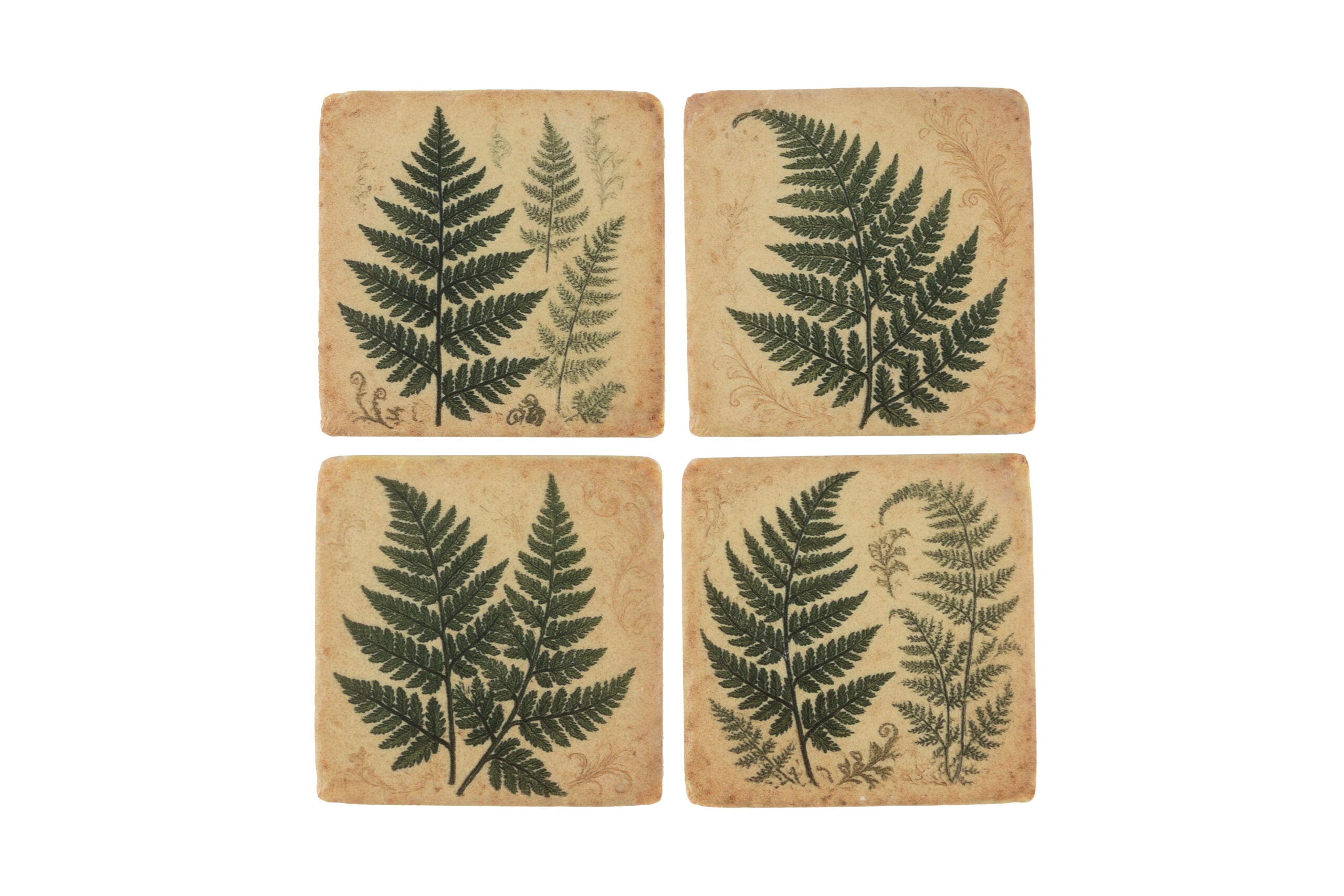 Frond Coasters Set of 4