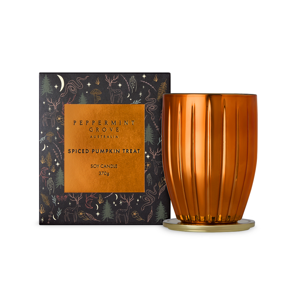 Spiced Pumpkin Treat Soy Candle 370g