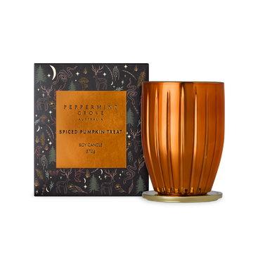 Spiced Pumpkin Treat Soy Candle 370g