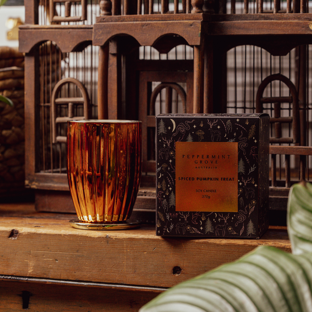 Spiced Pumpkin Treat Soy Candle 370g