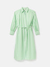 Francesca Green & White Tie Waist Shirt Dress