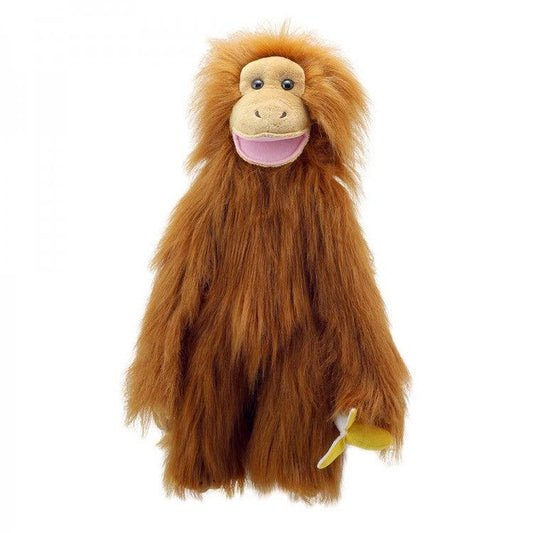 Orangutan - Medium Primates - RUTHERFORD & Co