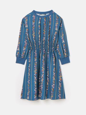 Odelia Blue Animals Print Printed Dress