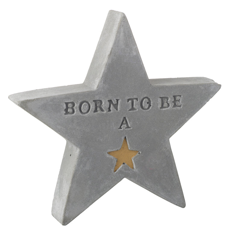 Born To Be A Star Cement Star
