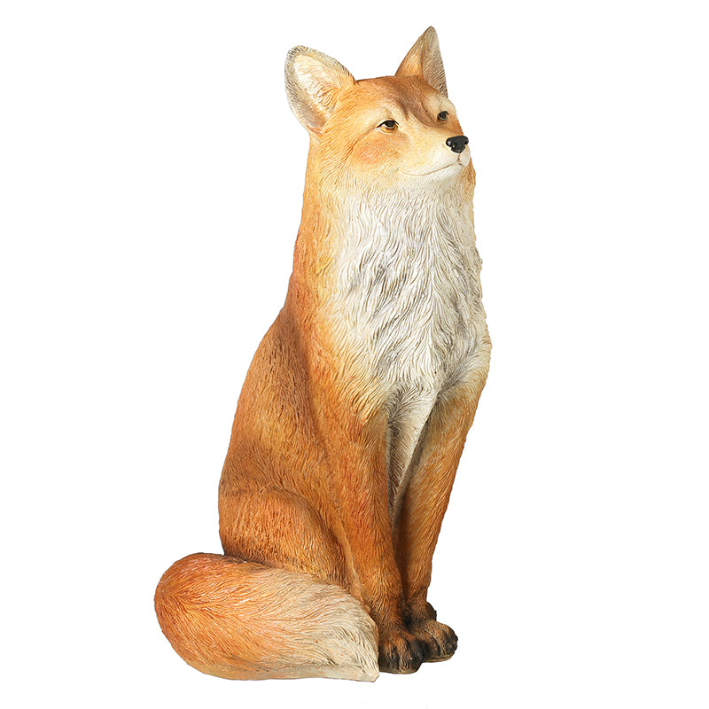Sitting Fox