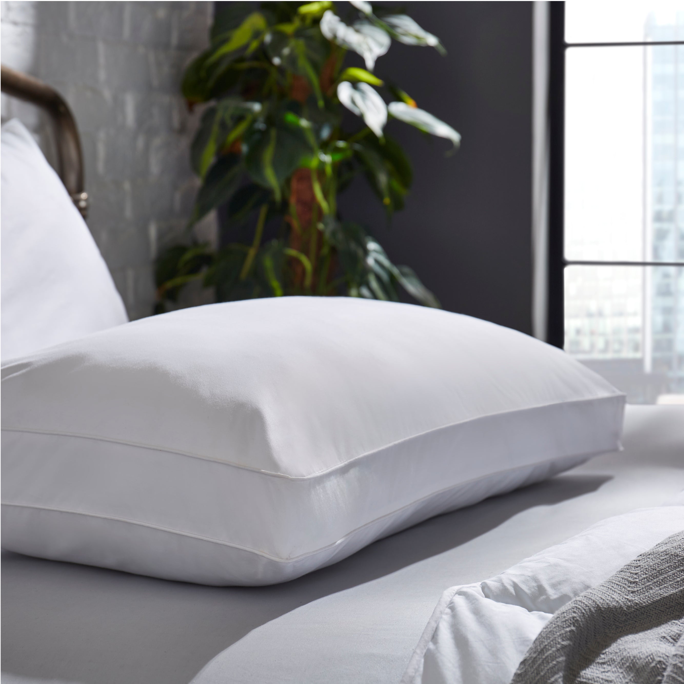 The Back Sleeper Pillow
