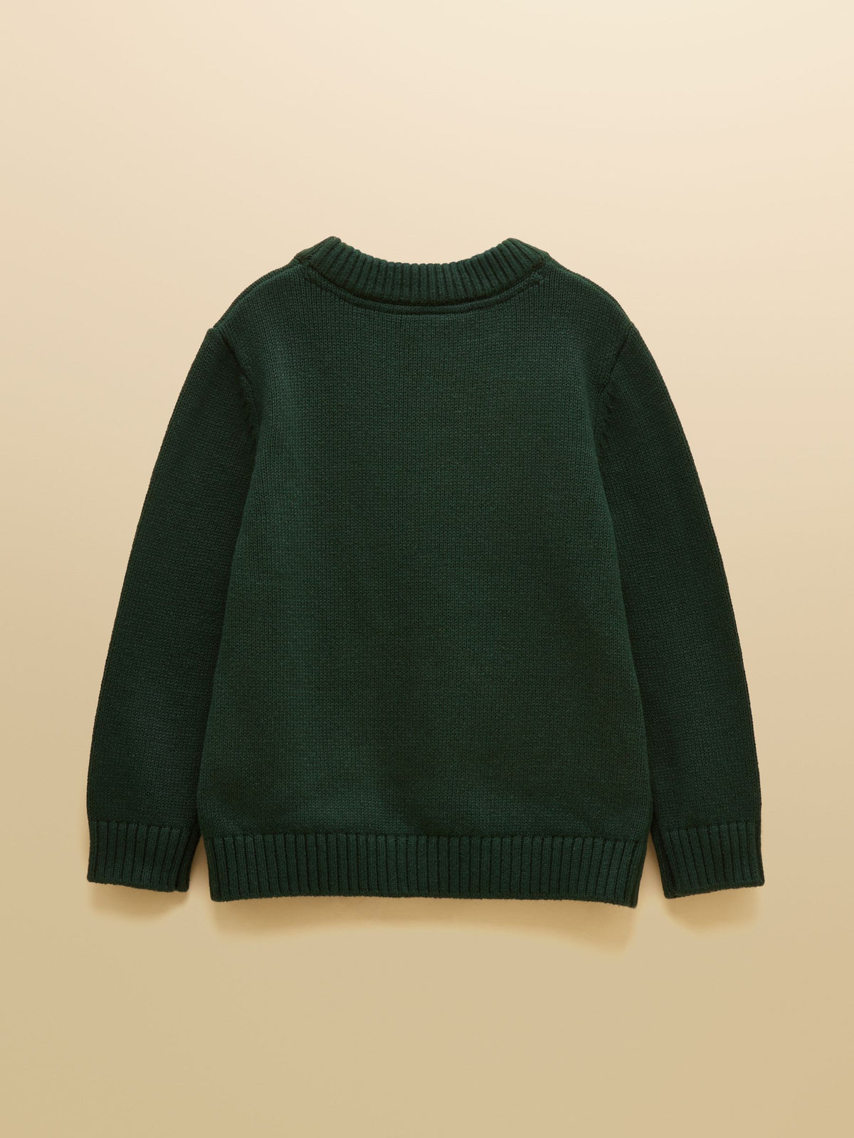 Boys' Jonty Fox Intarsia Knit Jumper - Green
