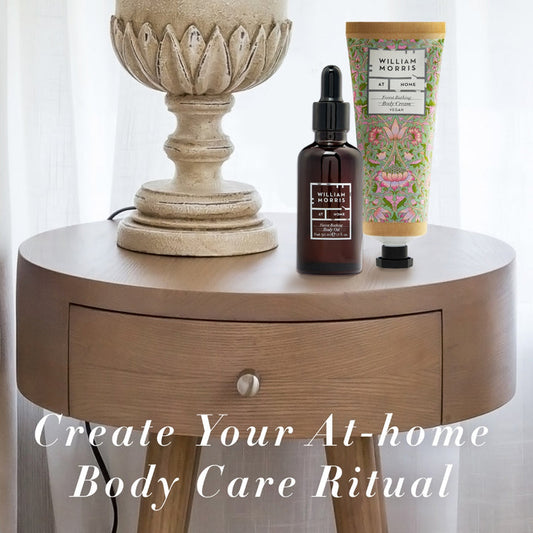 Forest Bathing Intensive Body Care Set