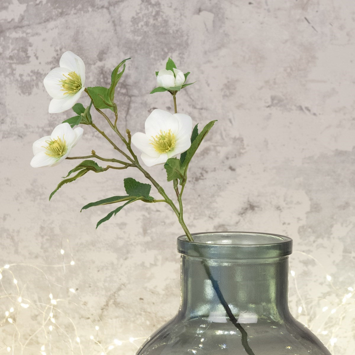Faux Hellebore White