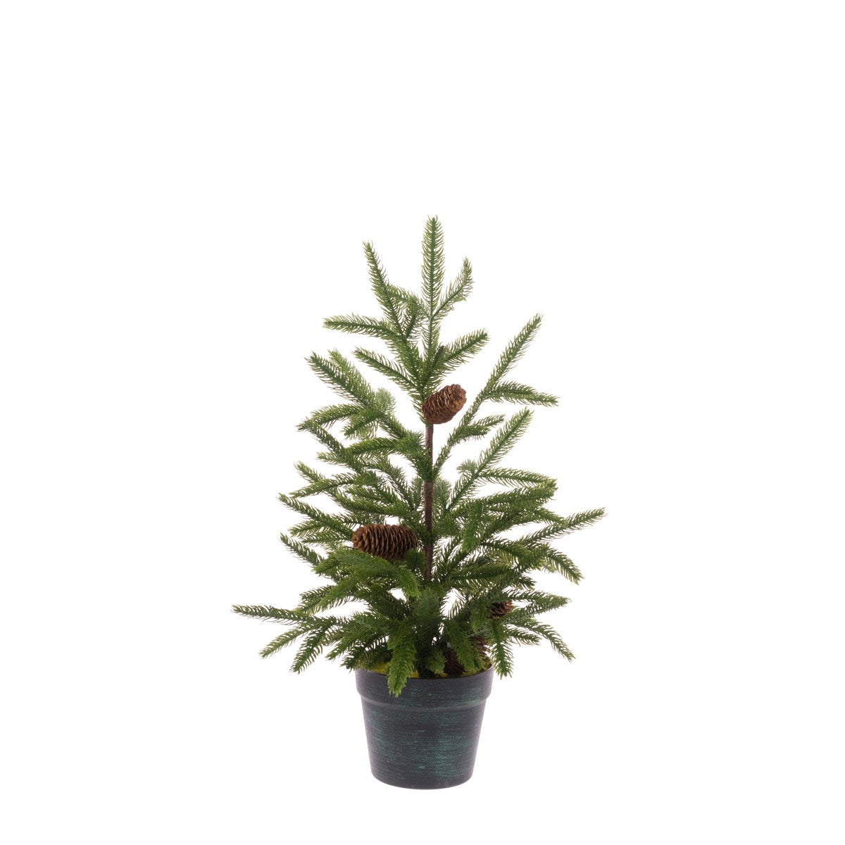 POTTED LUXURY PINE 61CM