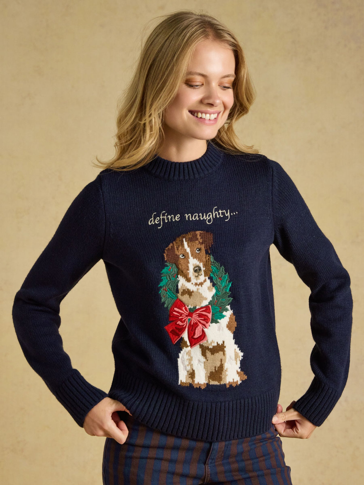Noelle Dog Christmas Jumper - Dog Navy