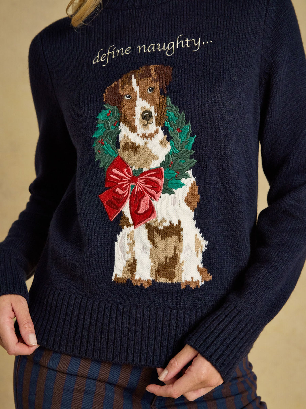 Noelle Dog Christmas Jumper - Dog Navy