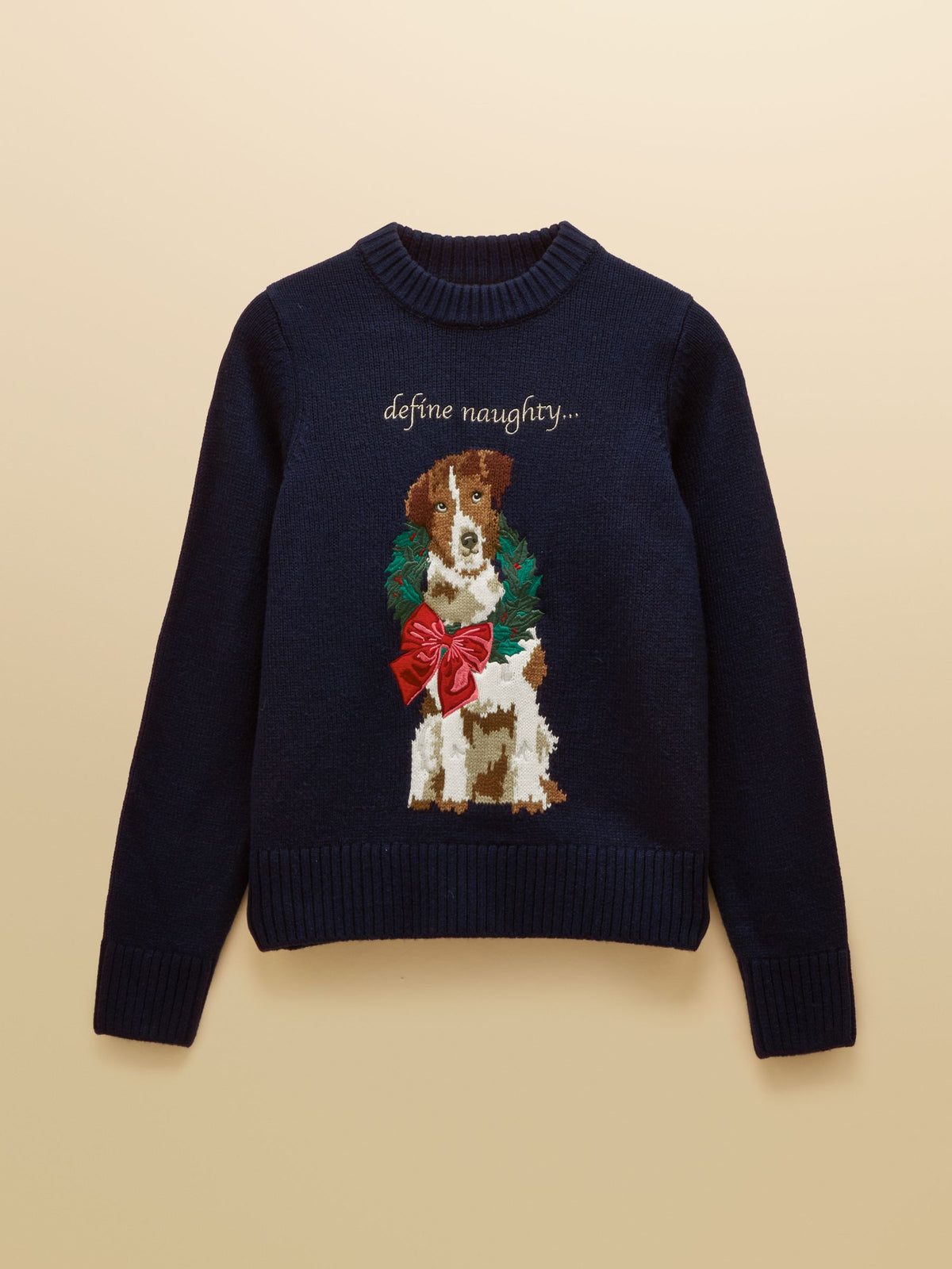 Noelle Dog Christmas Jumper - Dog Navy