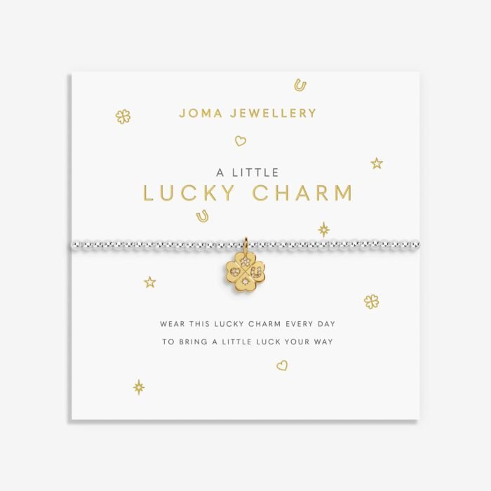 A Little 'Lucky Charm' Bracelet in Silver and Gold Plating - RUTHERFORD & Co
