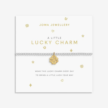 A Little 'Lucky Charm' Bracelet in Silver and Gold Plating - RUTHERFORD & Co
