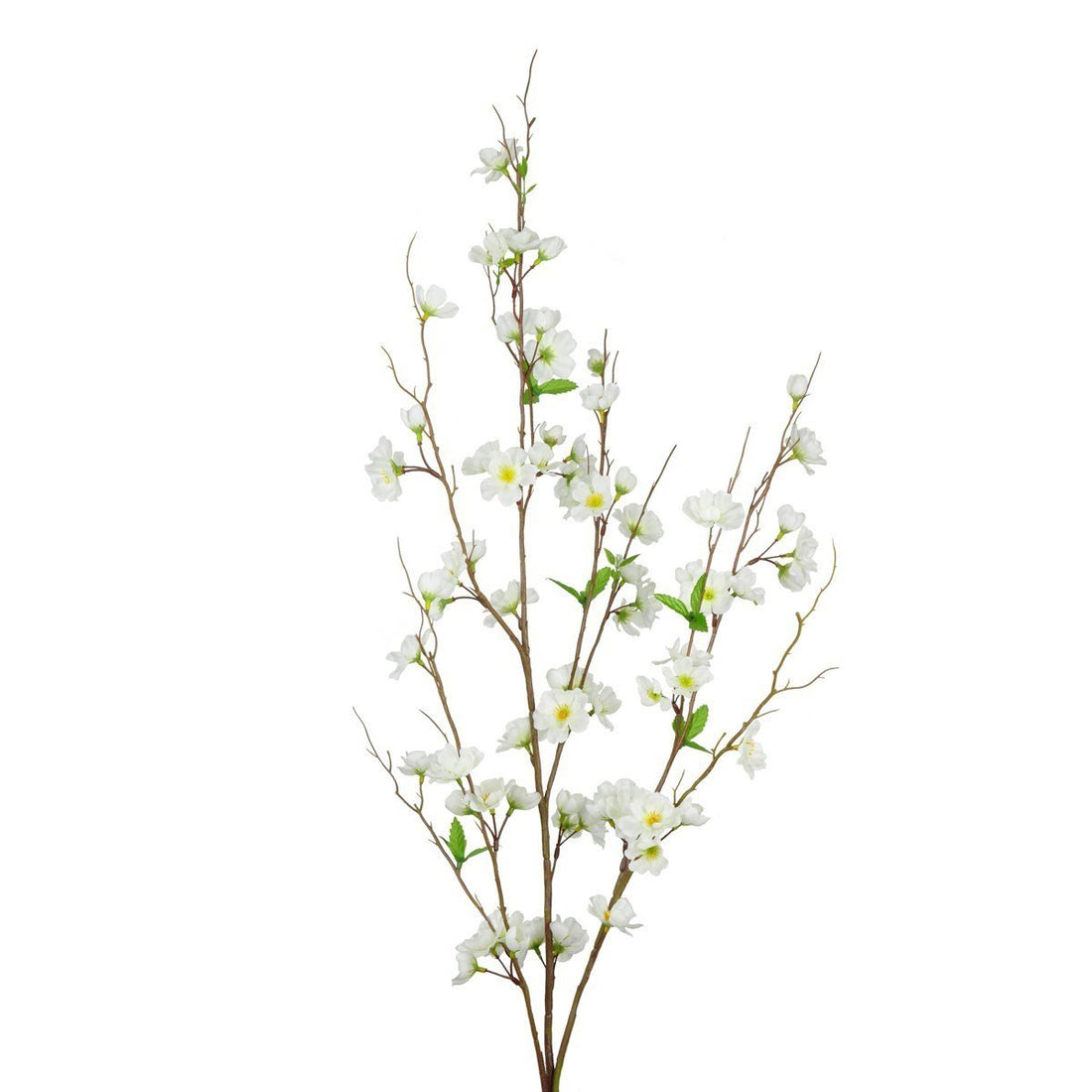 Apple Blossom 120cm - RUTHERFORD & Co