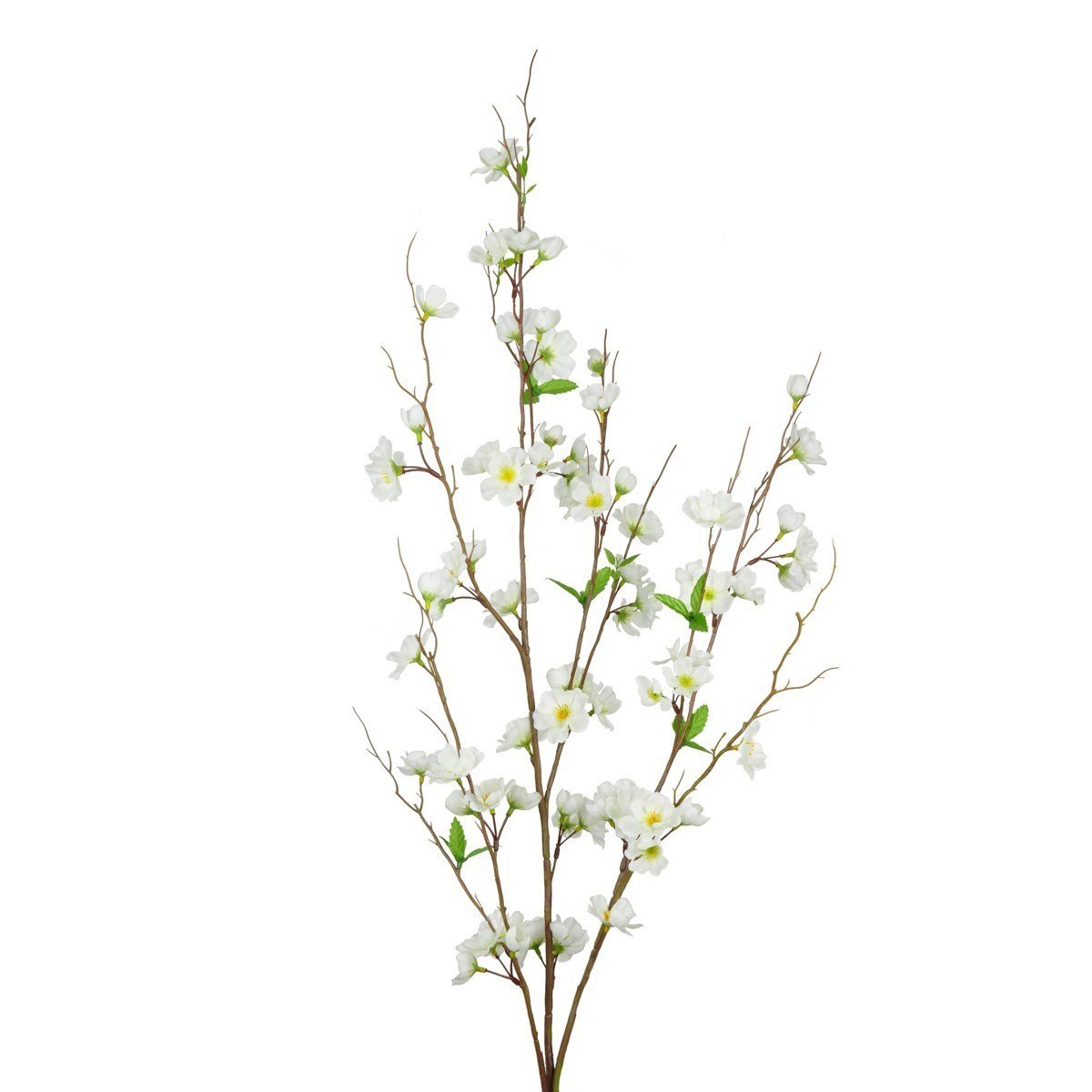 Apple Blossom 120cm - RUTHERFORD & Co