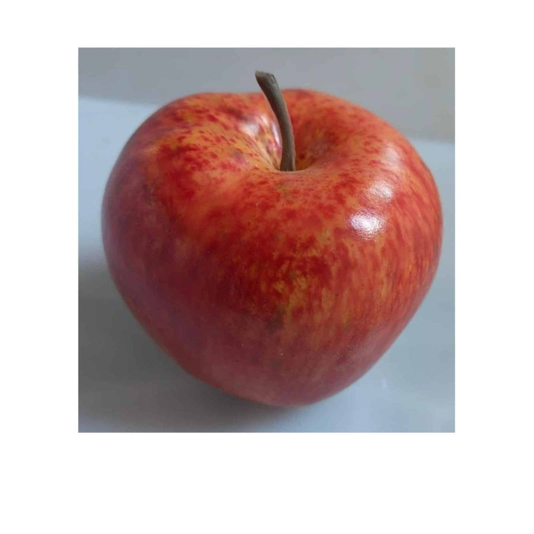 Apple Russet 8cm - RUTHERFORD & Co