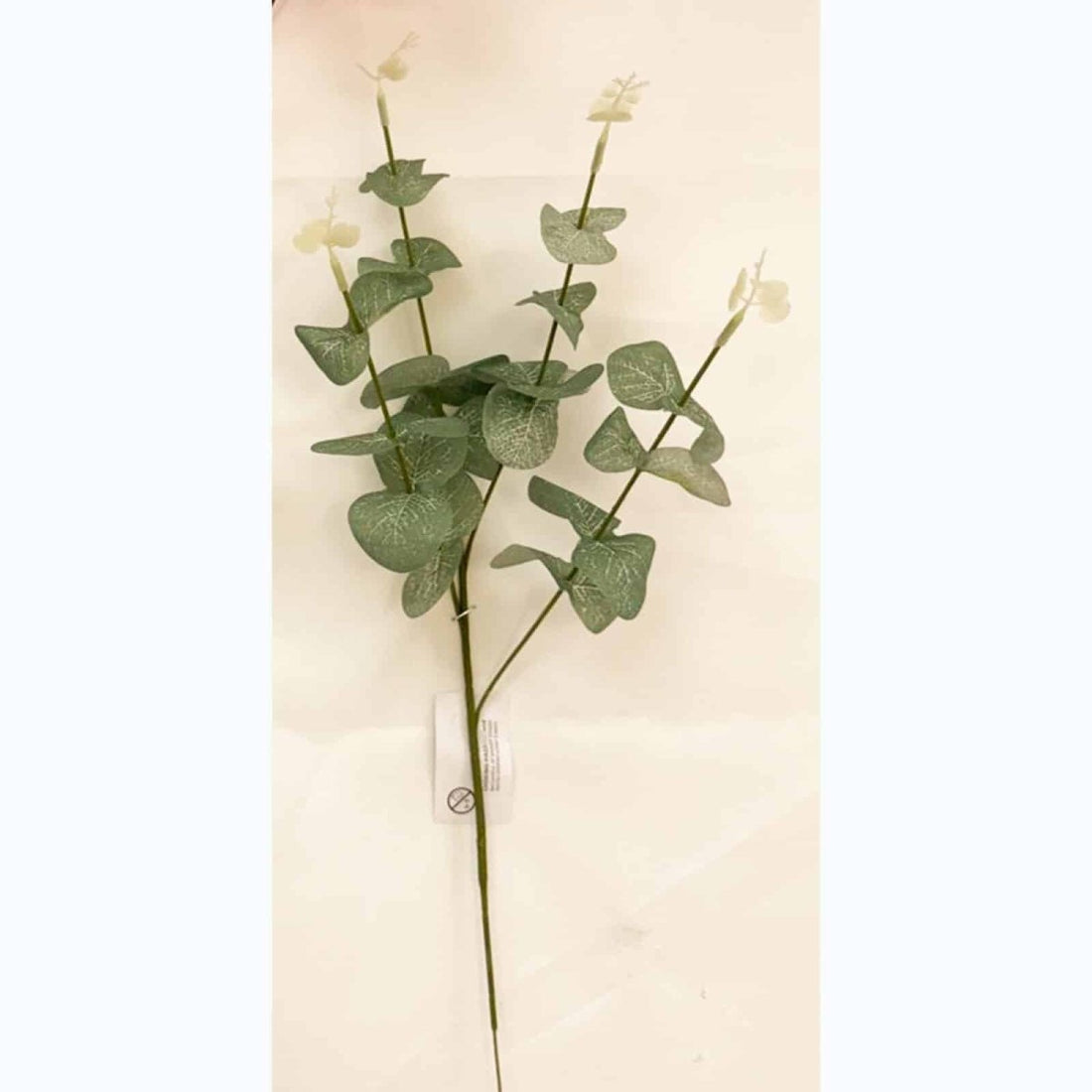 Autumn Eucalyptus Stem Green - RUTHERFORD & Co