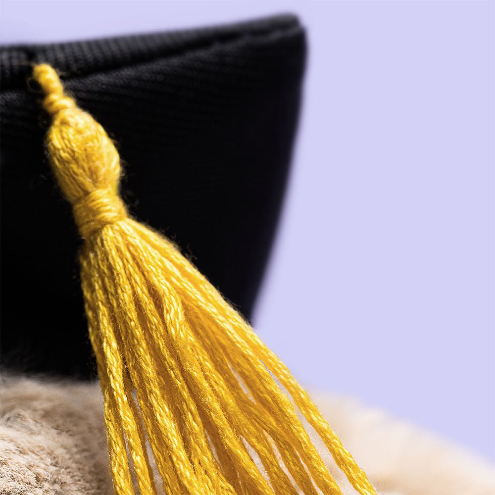 Bashful Bunny Graduation Outfit - RUTHERFORD & Co