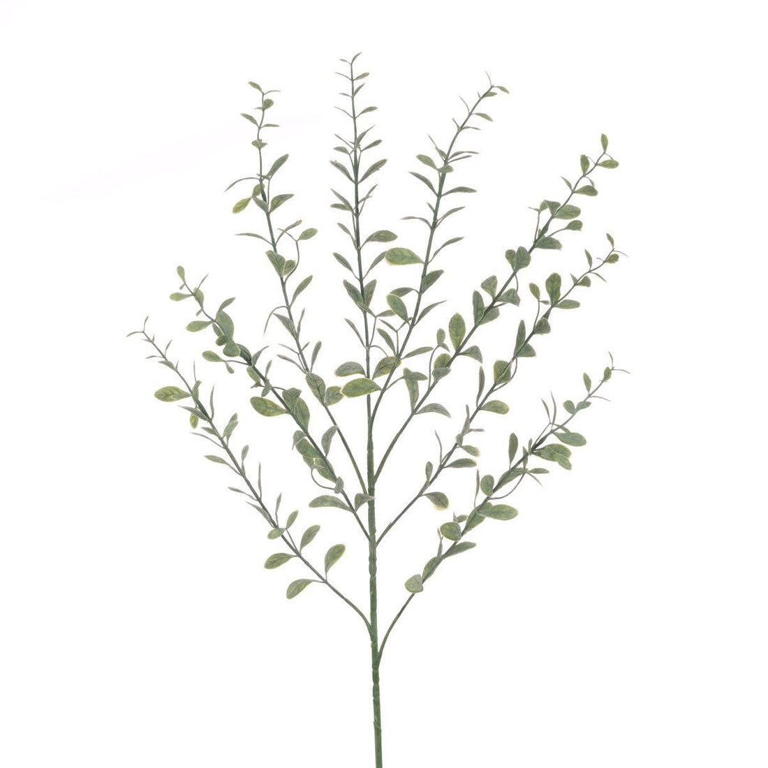 Bay Leaf Spray 77cm/Grey Green - RUTHERFORD & Co