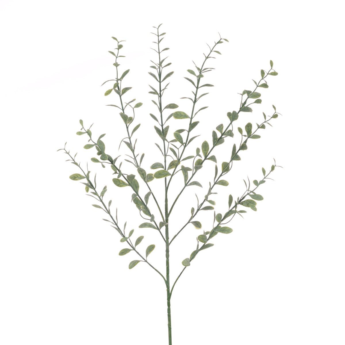 Bay Leaf Spray 77cm/Grey Green - RUTHERFORD & Co