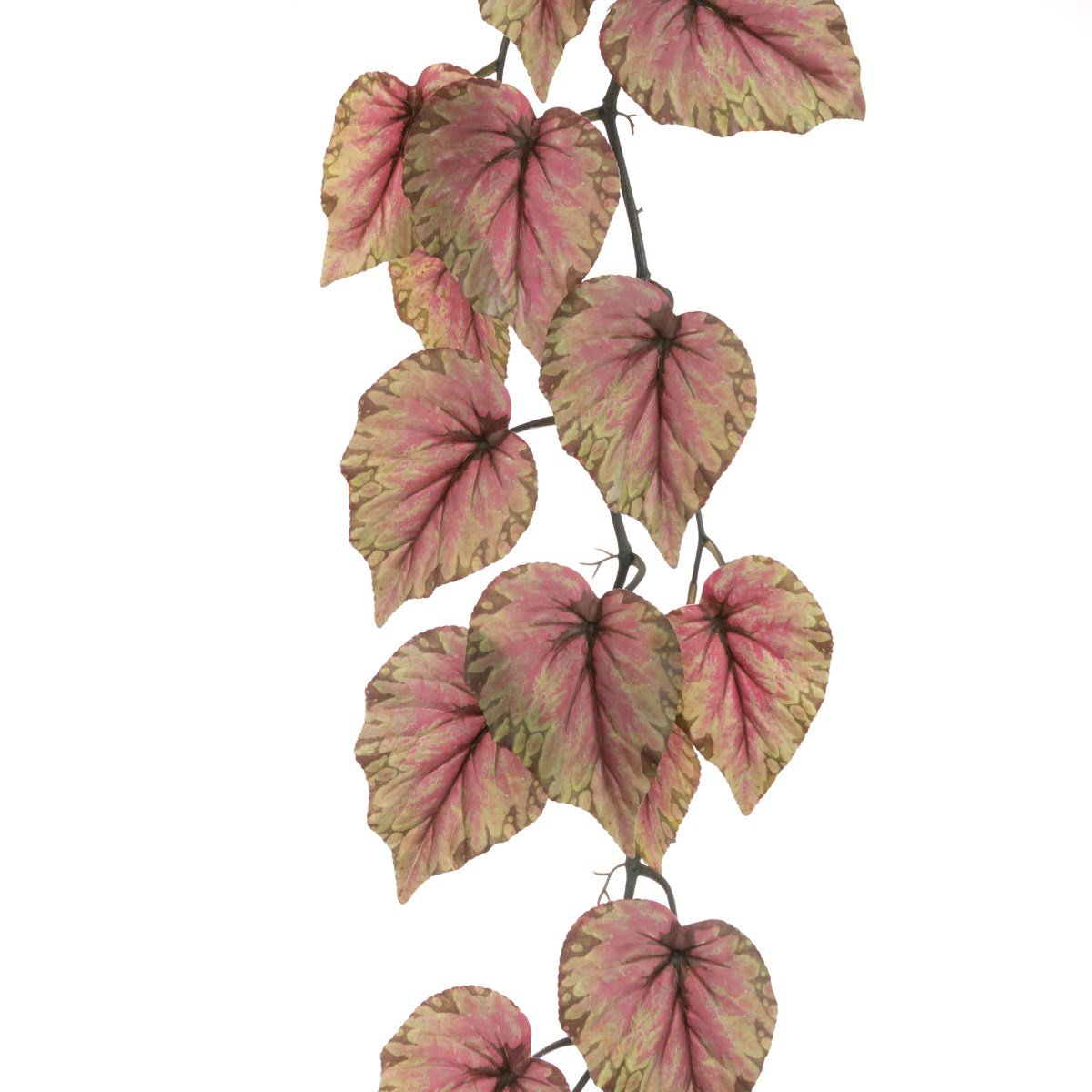 Begonia Leaf Garland 178cm - RUTHERFORD & Co