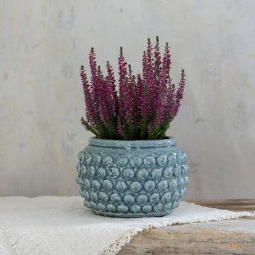 Bobble Planter Sea Green - RUTHERFORD & Co