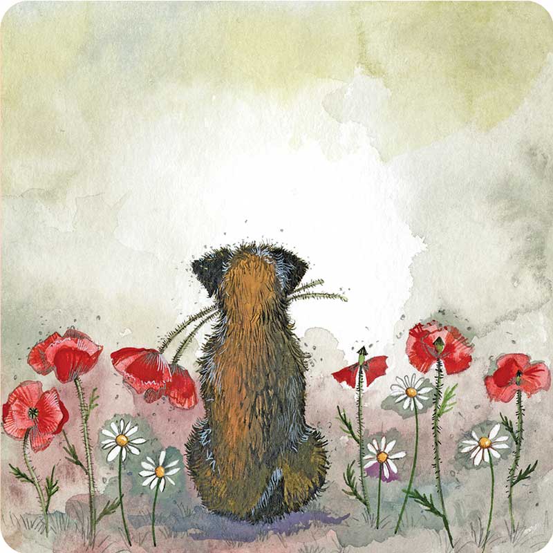 Border and Poppies Coaster - RUTHERFORD & Co