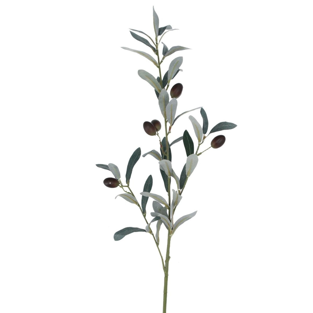 Branch 84cm – Olive - RUTHERFORD & Co