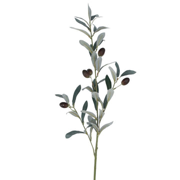 Branch 84cm – Olive - RUTHERFORD & Co