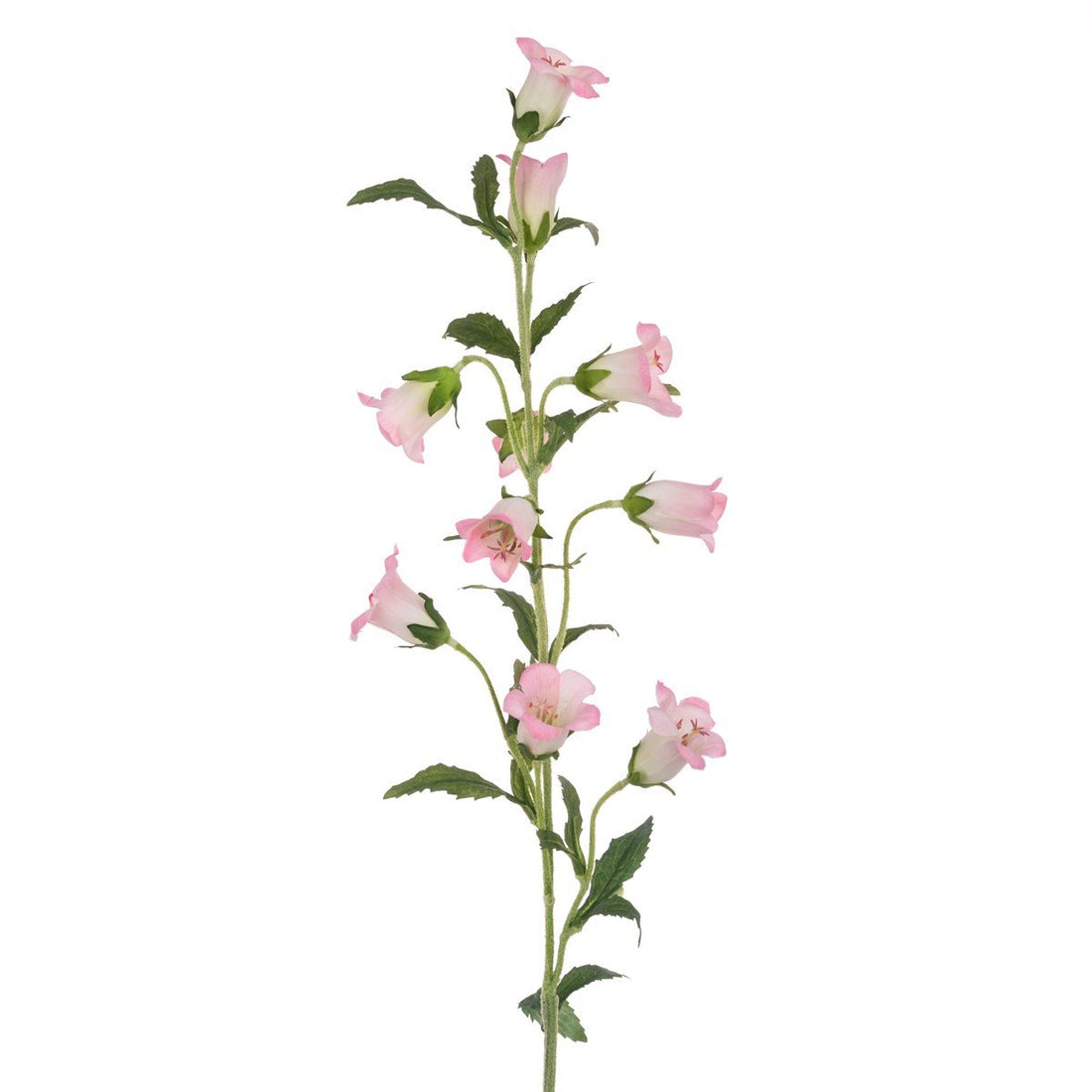 Campanula Spray 88cm/Light Pink - RUTHERFORD & Co