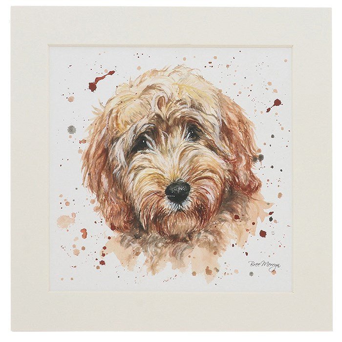 Candy Cockapoo Mounted Print - RUTHERFORD & Co
