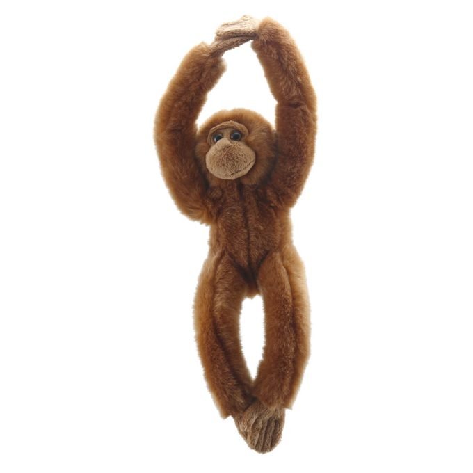 Canopy Climbers - Orangutan - RUTHERFORD & Co