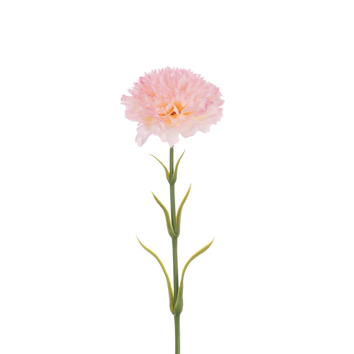 Carnation Stem 58cm/Light Pink - RUTHERFORD & Co