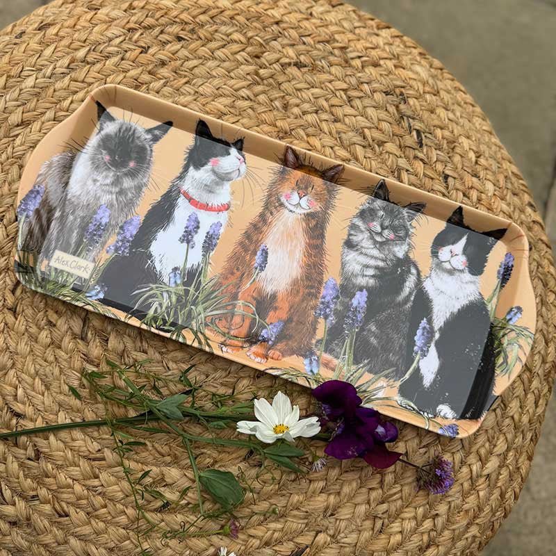 Cats Medium Melamine Tray - RUTHERFORD & Co
