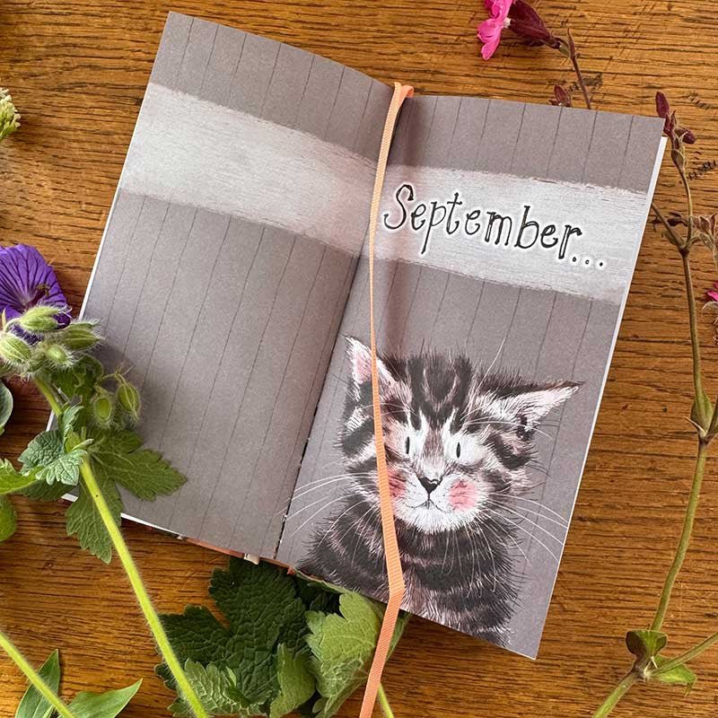 Charismatic Cats Pocket Diary - RUTHERFORD & Co