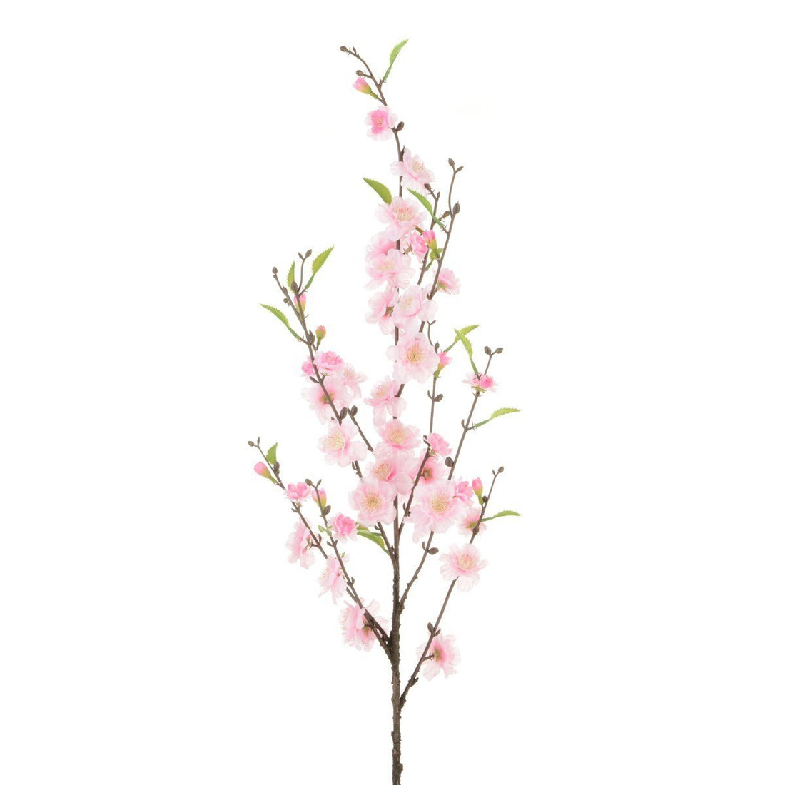 Cherry Blossom 98cm/Pink - RUTHERFORD & Co