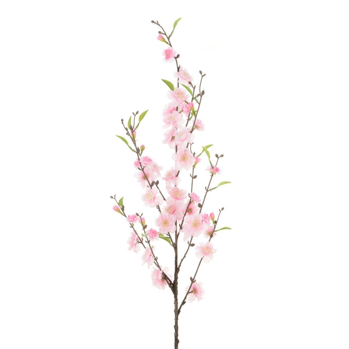 Cherry Blossom 98cm/Pink - RUTHERFORD & Co