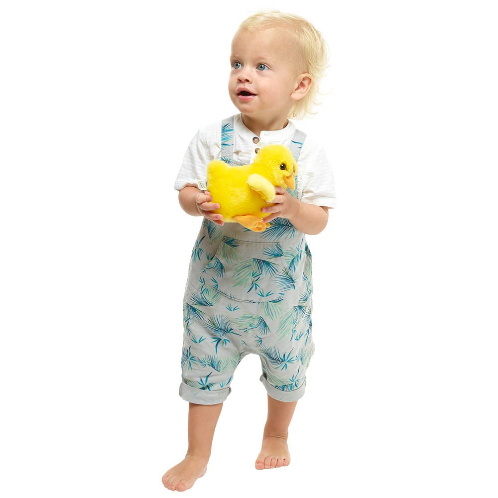 Chick – Wilberry Minis - RUTHERFORD & Co