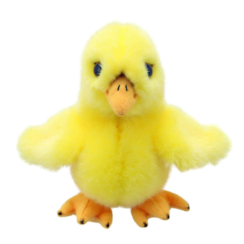 Chick – Wilberry Minis - RUTHERFORD & Co