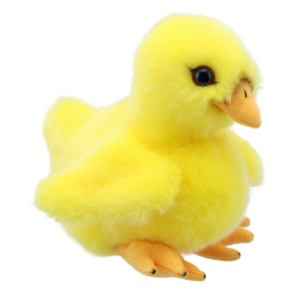 Chick – Wilberry Minis - RUTHERFORD & Co