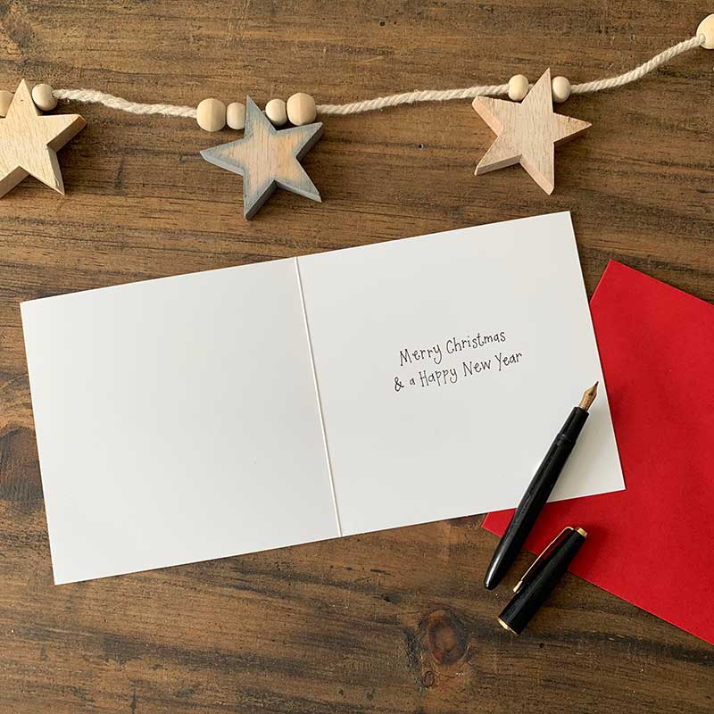 Christmas Cats Boxed Cards - RUTHERFORD & Co