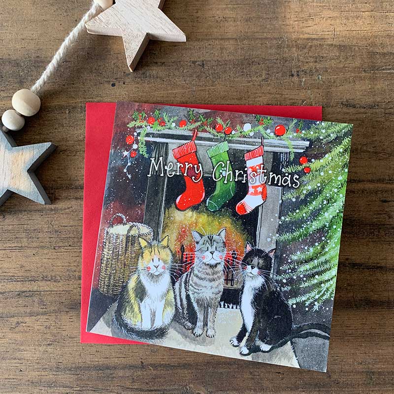 Christmas Cats Boxed Cards - RUTHERFORD & Co