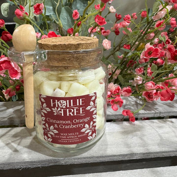 Cinnamon Orange & Cranberry Melts - RUTHERFORD & Co