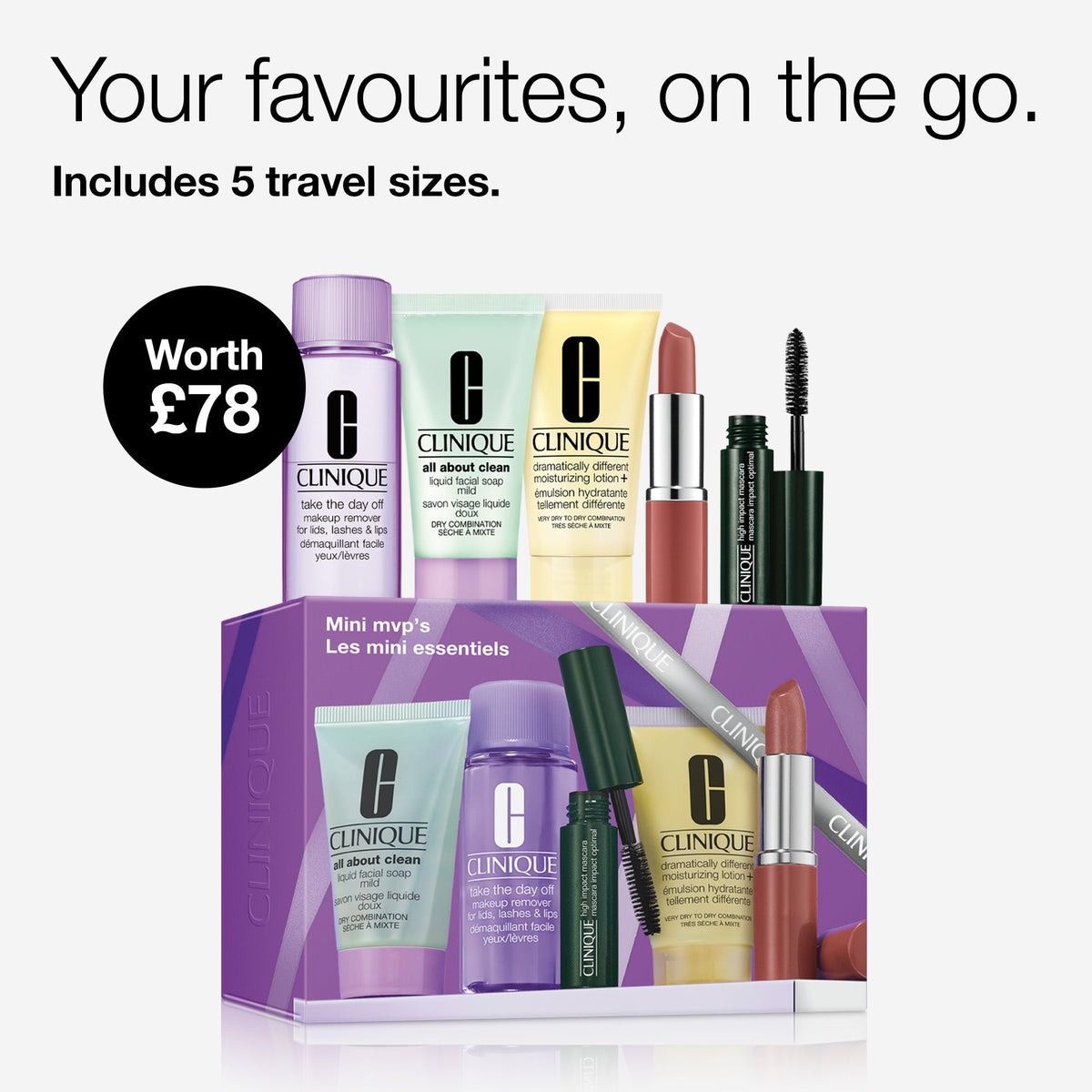 Daily Skincare & Makeup Travel Gift Set