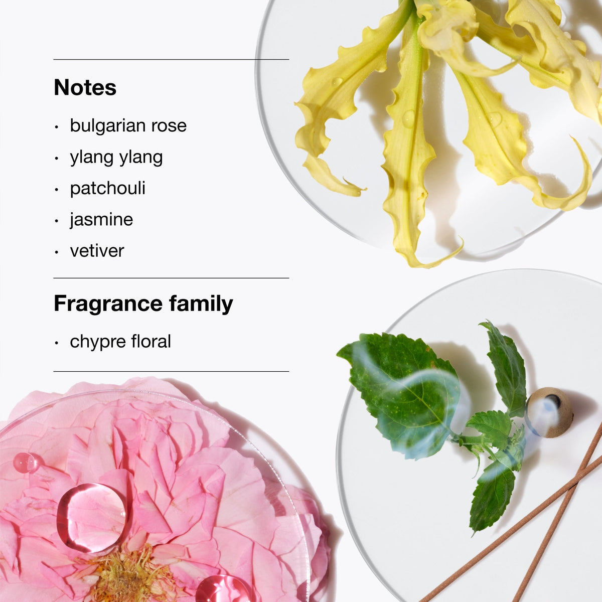 Aromatics Elixir Ritual Fragrance Duo