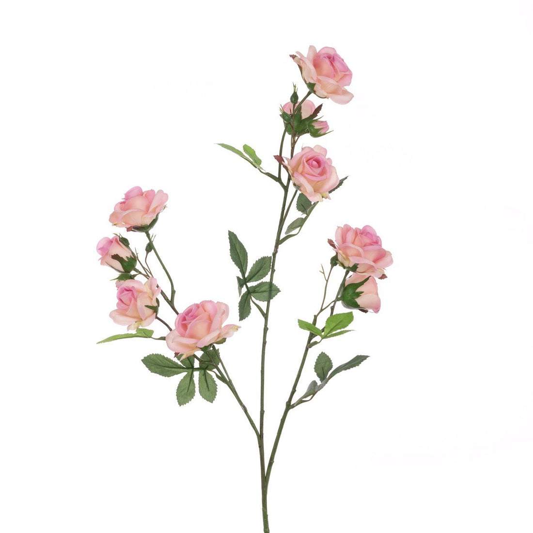 Climbing Rose Spray 78cm/Light Pink - RUTHERFORD & Co